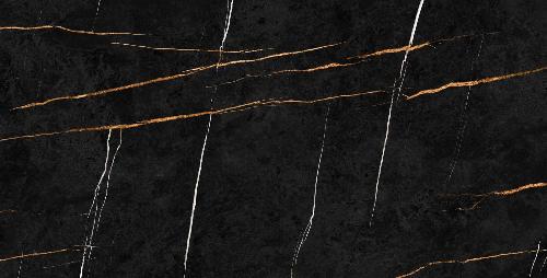 Sahara Noire P202