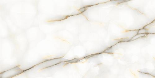 P305 Onyx Perla